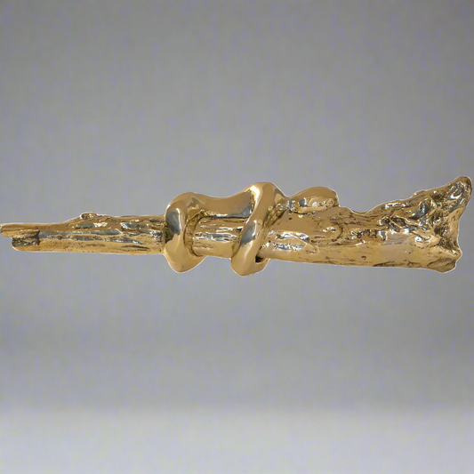 Ivo goes Up by Didier Guillon-1