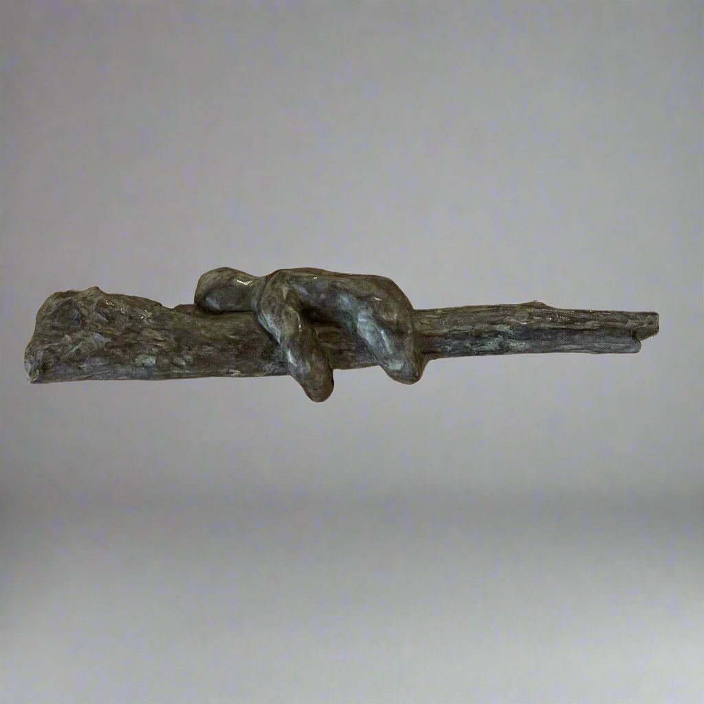 Ivo goes Up by Didier Guillon-3