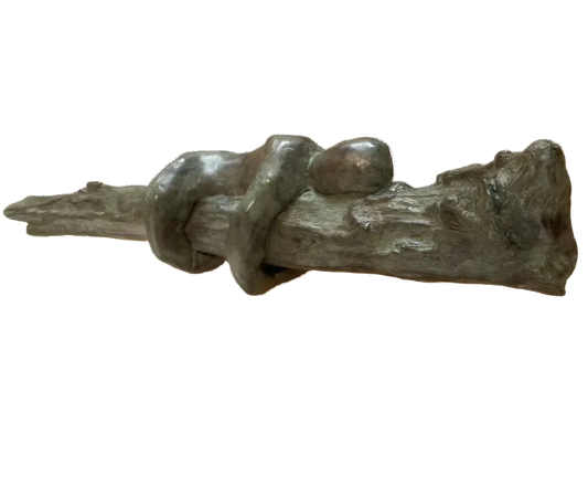 Ivo sale di Didier Guillon-3